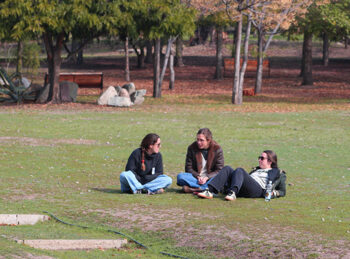 retiro_rama13_1321