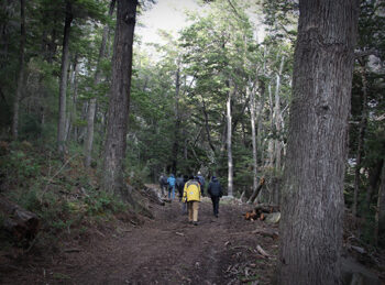 scout_sj6_1324