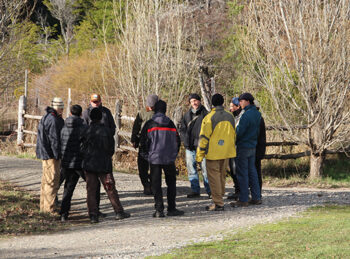scout_sj7_1324