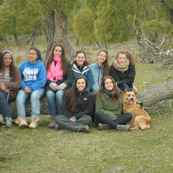 formacion17